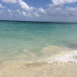 Meet your Posher, Arri